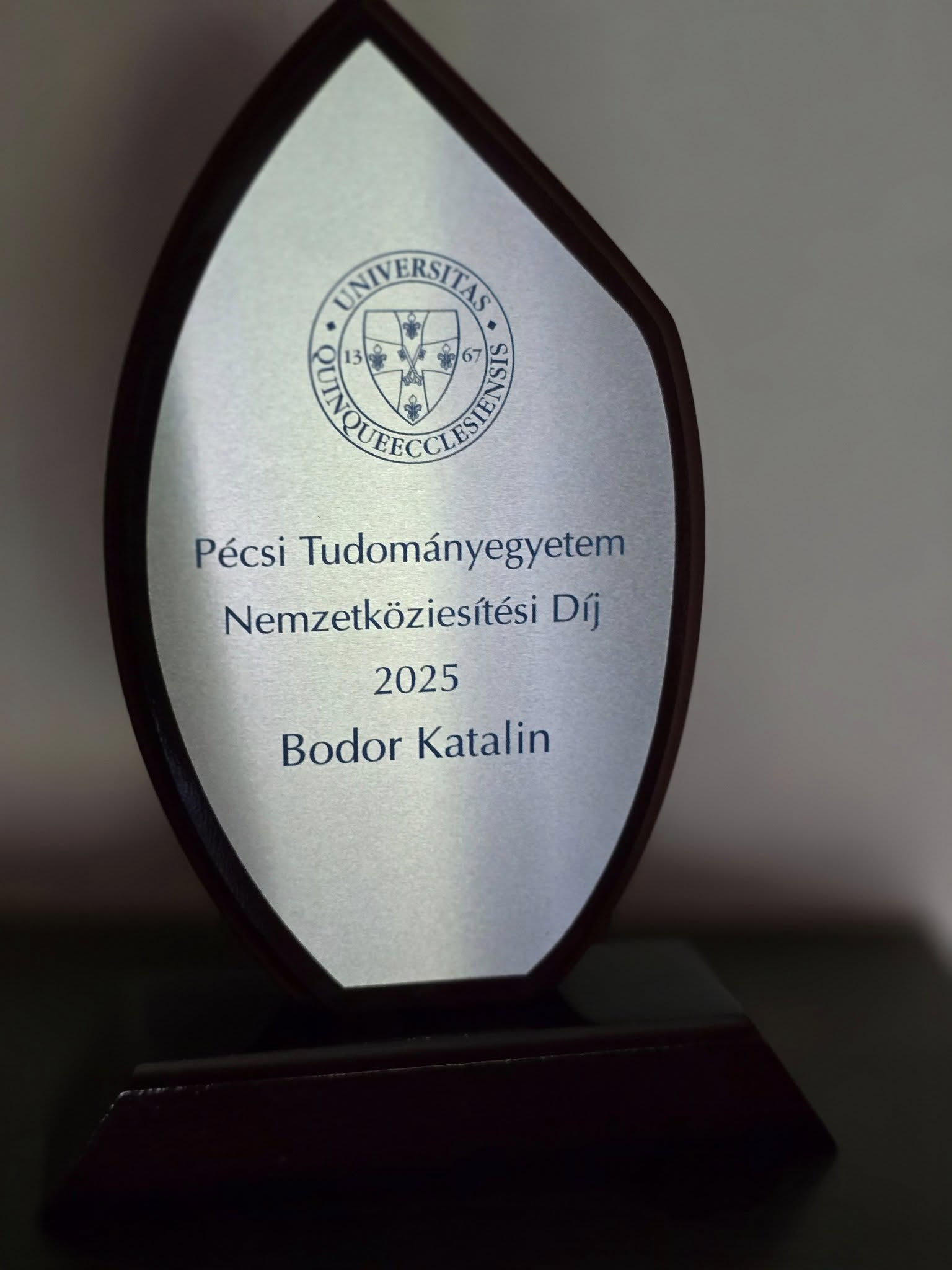 Nemzetköziesítési Díj