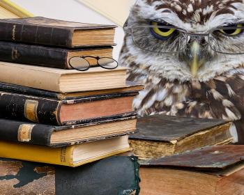 TDK Orientációs nap