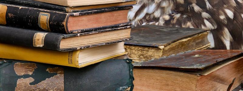 TDK Orientációs nap